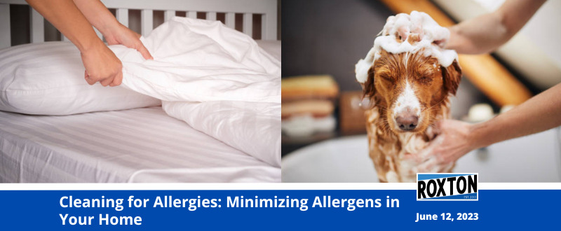 Cleaning for Allergies: Minimizing Allergens in Your Home